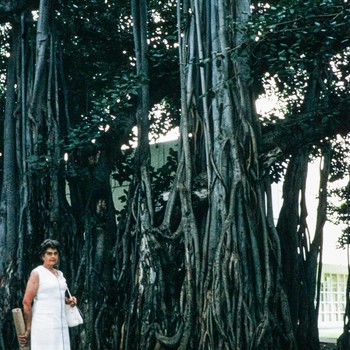 Photo of Alice Persyn